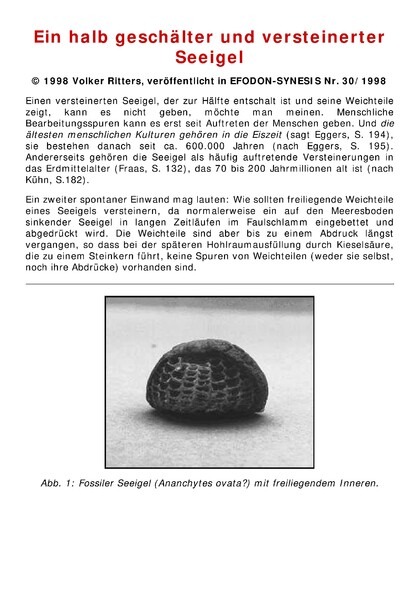 Ein halb geschälter und versteinerter Seeigel