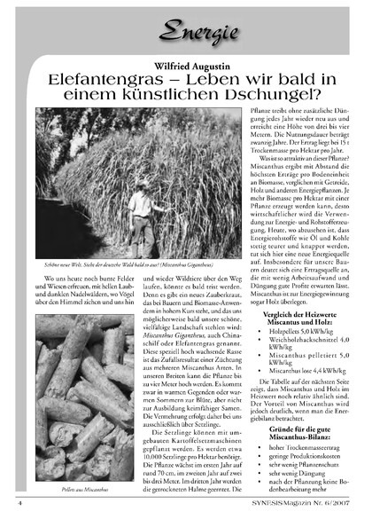 Elefantengras – Leben wir bald in einem künstlichen Dschungel?