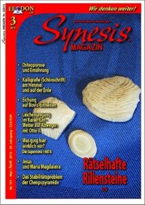 SYNESIS-Magazin Nr. 117 (3/2013)