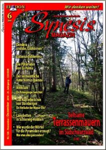 SYNESIS-Magazin Nr. 126 (6/2014)